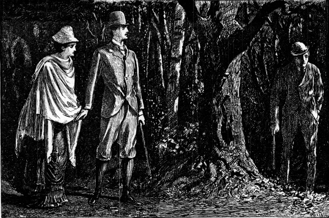 "ADDIE STOOD BREATHLESS, AND PERCIVAL'S HEART GAVE A QUICK
THROB."&mdash;Page 676.