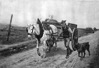 From More Animal
Stories