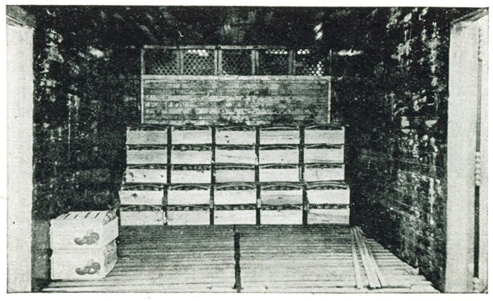 Figure 23.&mdash;Lug boxes as loaded in car.