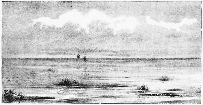 Plate XVI.

THE SPANISH WILD CAMELS&mdash;OUR FIRST SIGHT OF A PAIR IN THE MARISMA.

Page 94.
