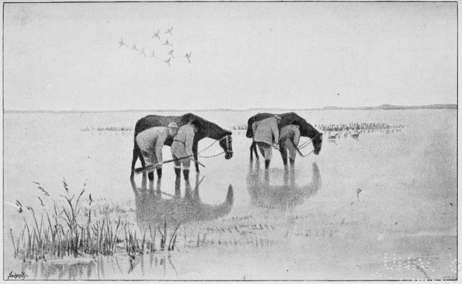 Plate XLV.

WILDFOWLING WITH CABRESTOS. No. 1.&mdash;THE APPROACH.

Page 372.