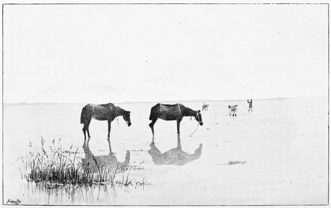 Plate XLVIII.

WILDFOWLING WITH CABRESTOS. No. 3.&mdash;THE RESULT.

Page 381.