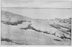 Photo. J. B. Tyrrell, Oakley, 1894.
S. HEARNE'S NAME ON THE SMOOTH GLACIATED ROCK AT SLOOP'S COVE,
NEAR CHURCHILL