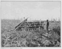 Photo: J. P. Tyrrell, July 31, 1893.
DRYING CARIBOU MEAT
