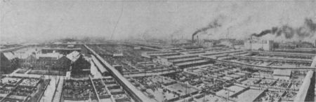 Fig. 10.&mdash;Bird's Eye View of Union Stock Yards, Chicago.
