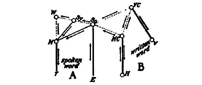 The peripheric channels are indicated by heavy lines; the central
channels of association by dotted lines; and those referring to
association in relation to the development of the heard speech by
light lines.