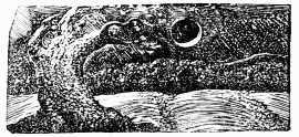 FIG. 69.&mdash;The Mark of Storm. By Blake. From Virgil’s
Pastorals.