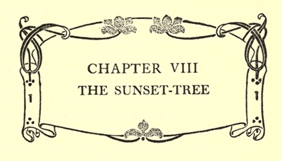 CHAPTER_VIII
THE SUNSET-TREE