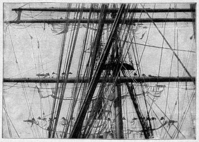 ganz boben, da h�rt de Schipjung hen