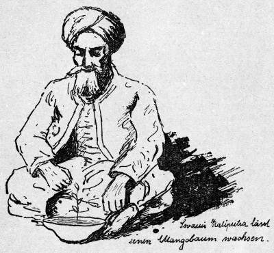 Swami Kaliputra l�sst einen Mangobaum wachsen