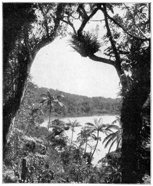 Liebliche, heimt�ckische S�dseeinseln