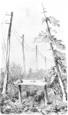 Fig. 1.&mdash;Newfoundland Telegraph Station, 1855.