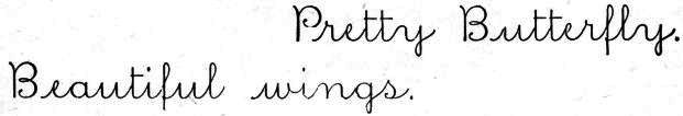 cursive: Pretty butterfly.
Beautiful wings