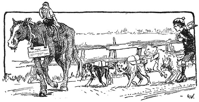 Op z&rsquo;n rug zat Dodo.