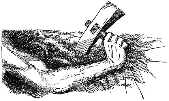 Thor&rsquo;s hammer.