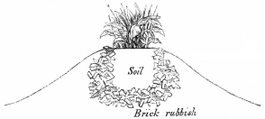 Image not available: Section of raised bed at Battersea, with brick-rubbish
beneath and around the soil.