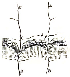 Fig 14