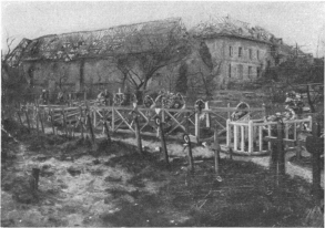 [Image not available]