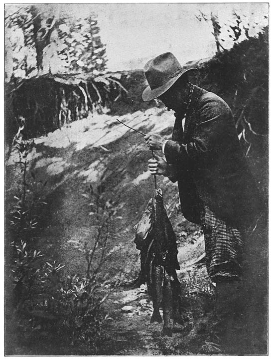 Trouts- (forellen) vangst in het Yellowstone-Park.