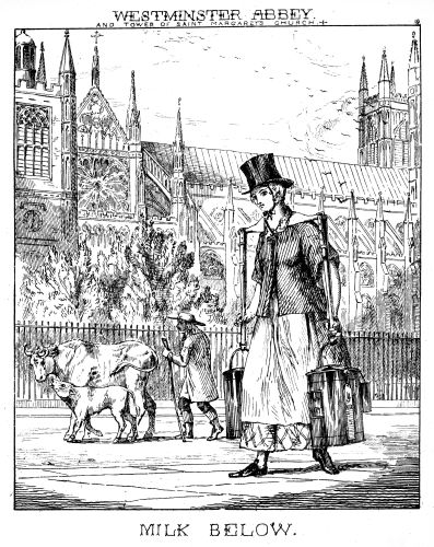 [Image unavailable: WESTMINSTER ABBEY.

AND TOWER OF SAINT MARGARET’S CHURCH.

MILK BELOW.]