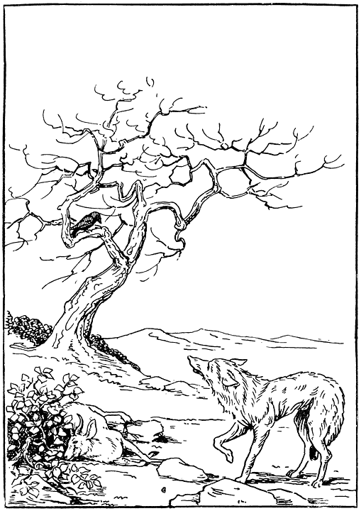 Jakkals s�: „Parmante kry niks.”